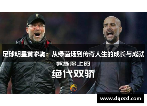 足球明星黄家驹：从绿茵场到传奇人生的成长与成就
