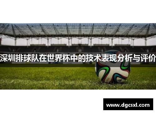 深圳排球队在世界杯中的技术表现分析与评价