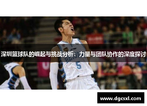深圳篮球队的崛起与挑战分析：力量与团队协作的深度探讨