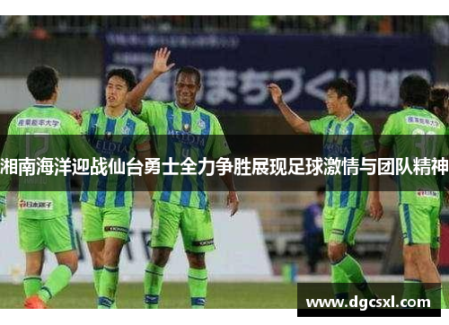 湘南海洋迎战仙台勇士全力争胜展现足球激情与团队精神